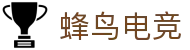 蜂鸟竞技官方平台 - 精彩电竞赛事直播全覆盖